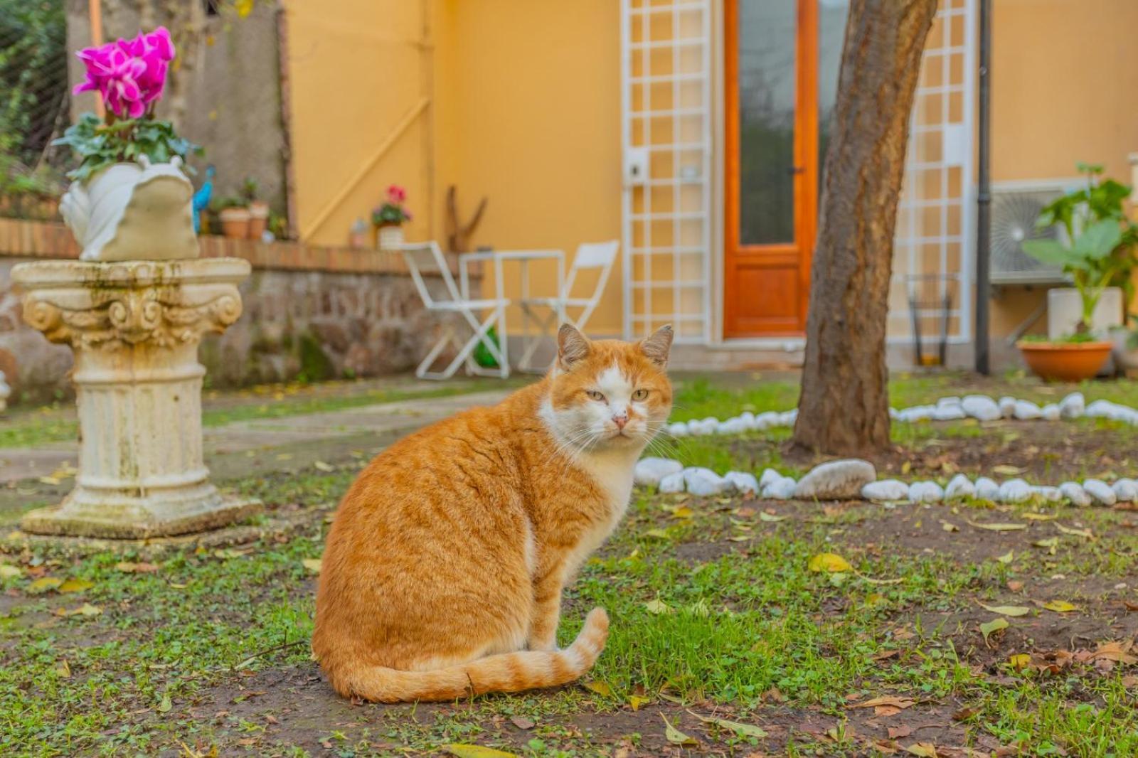Villa Gatta 로마 외부 사진