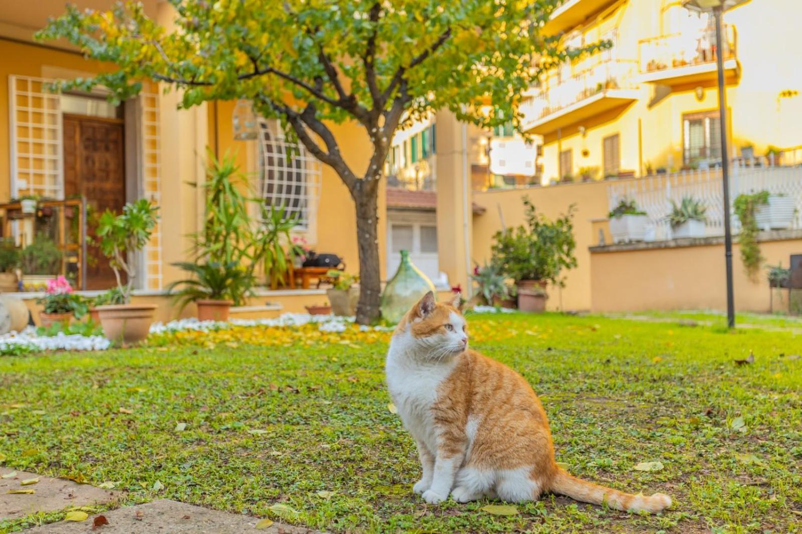 Villa Gatta 로마 외부 사진
